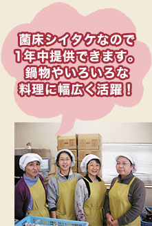 菌床シイタケなので1年中提供できます。鍋物やいろいろな料理に幅広く活躍！