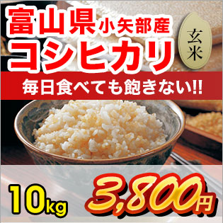 新米　コシヒカリ　富山県産コシヒカリ　玄米10kg　4000円