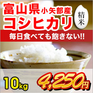 富山県産コシヒカリ 精米10kg