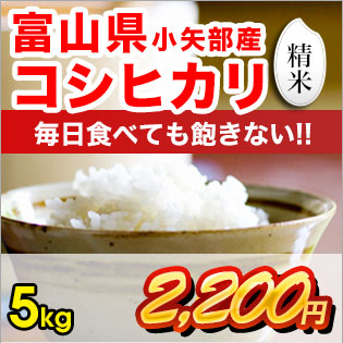 富山県産コシヒカリ 精米5kg