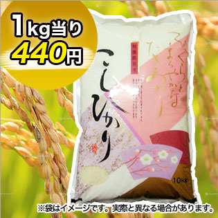 富山県産コシヒカリ 精米5kg