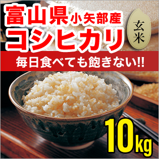 富山県産コシヒカリ 玄米10kg