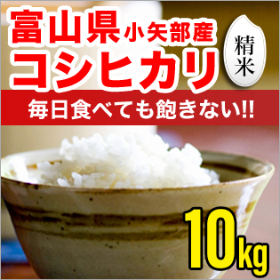富山県産コシヒカリ 精米 10kg