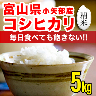 富山県産コシヒカリ 精米 5kg