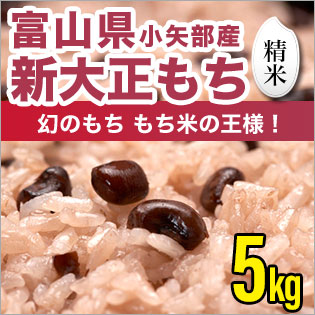 富山県産新大正もち 精米 5kg