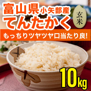 富山県産てんたかく 玄米 10kg