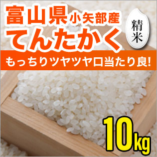 富山県産てんたかく 精米 10kg