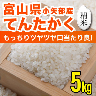 富山県産てんたかく 精米 5kg